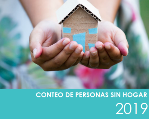 Conteo personas sin hogar Resumen ejecutivo